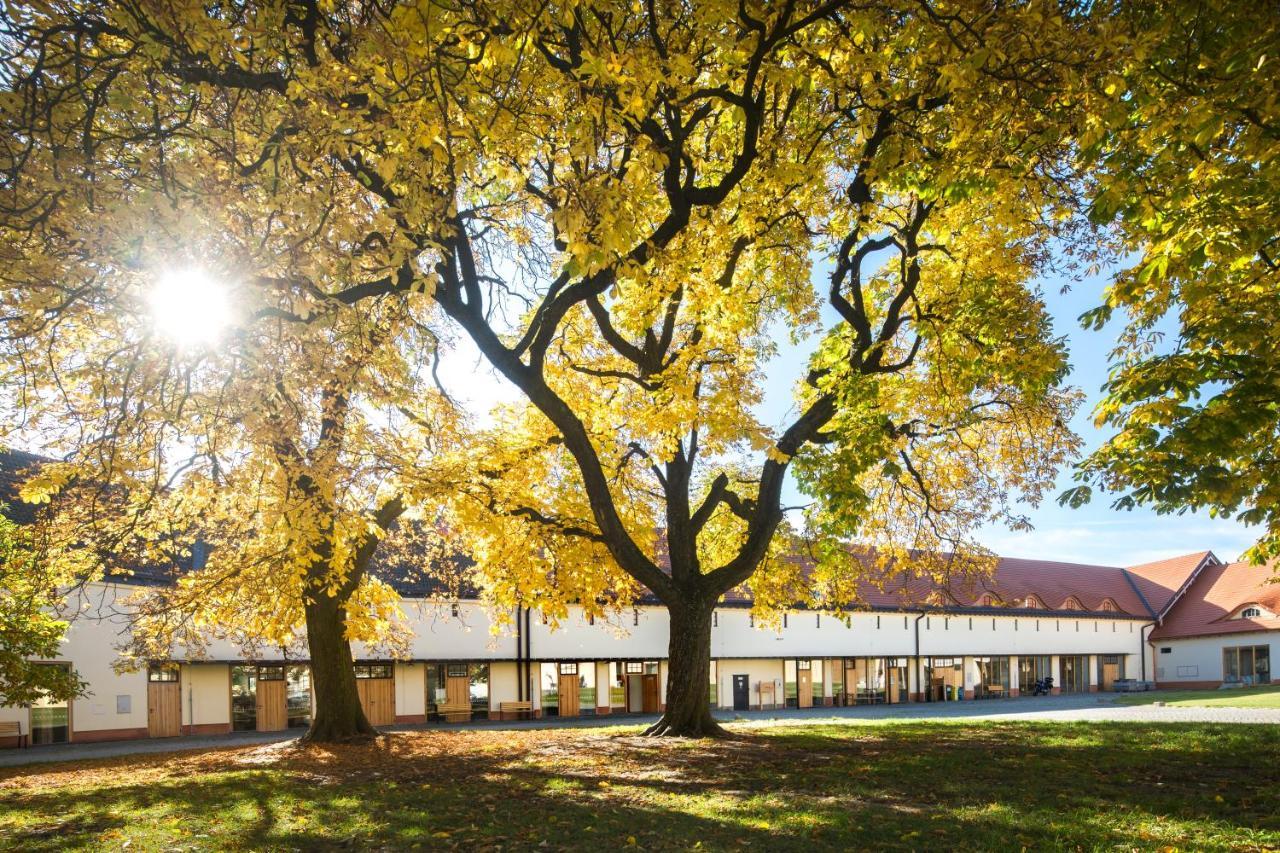 Penzion Pansky Dvur Telc Luaran gambar